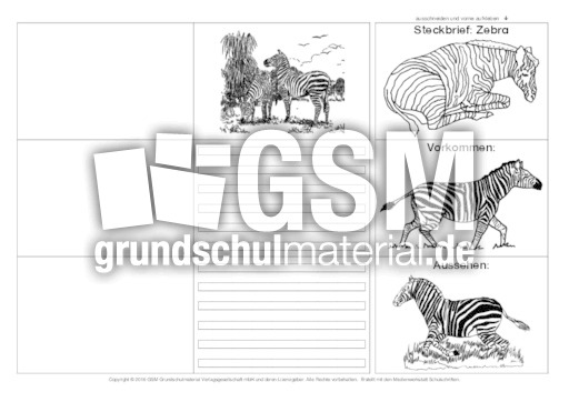 Flip-Flap-Zebra-3.pdf